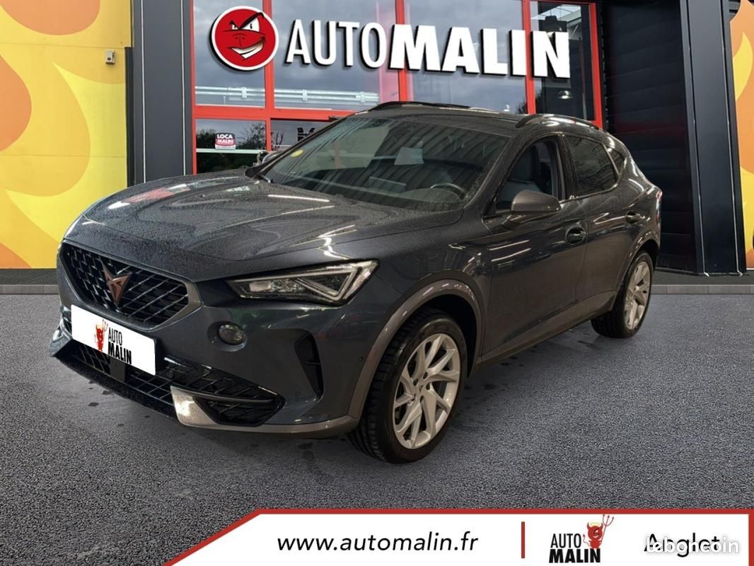 Cupra Formentor 2.0 TDI 150 ch Business Edition (image 1)