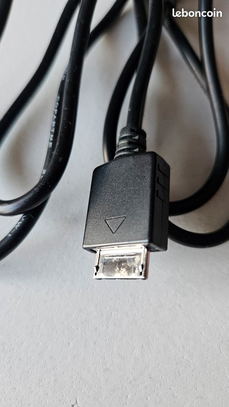 Câble USB DragonTrading Pour Sony Walkman - Synchronisation Et Charge - Modèles NWZ-F805, E574, Etc.