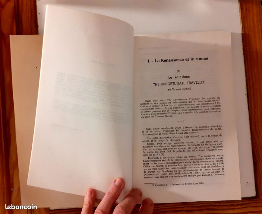 Récit et roman : Formes du roman anglais du XVIe au XXe siècle (image 2)