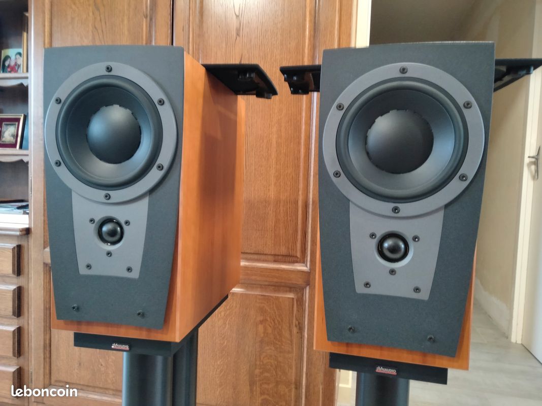 Enceinte Dynaudio Contour Photo, audio vidéo