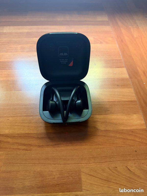 Écouteurs Powerbeats Pro (image 1)