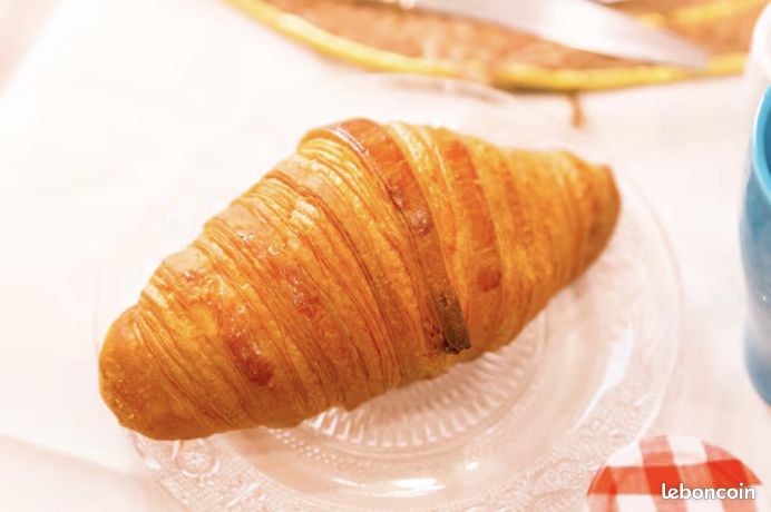 Appartement a louer maisons-alfort - 1 pièce(s) - 19 m2 - Surfyn