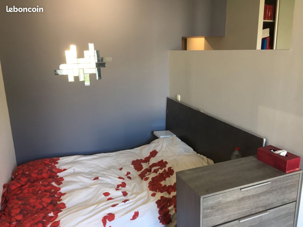 Très beau appartement T1 bis refait à neuf centre ville - Poitiers 86000 (image principale 4)