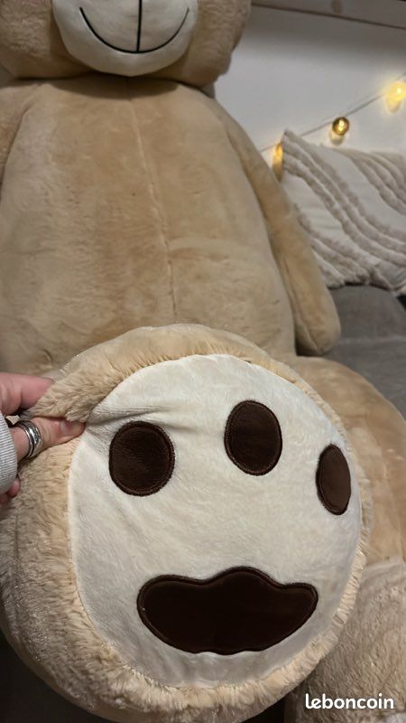 Ours en peluche (image 3)