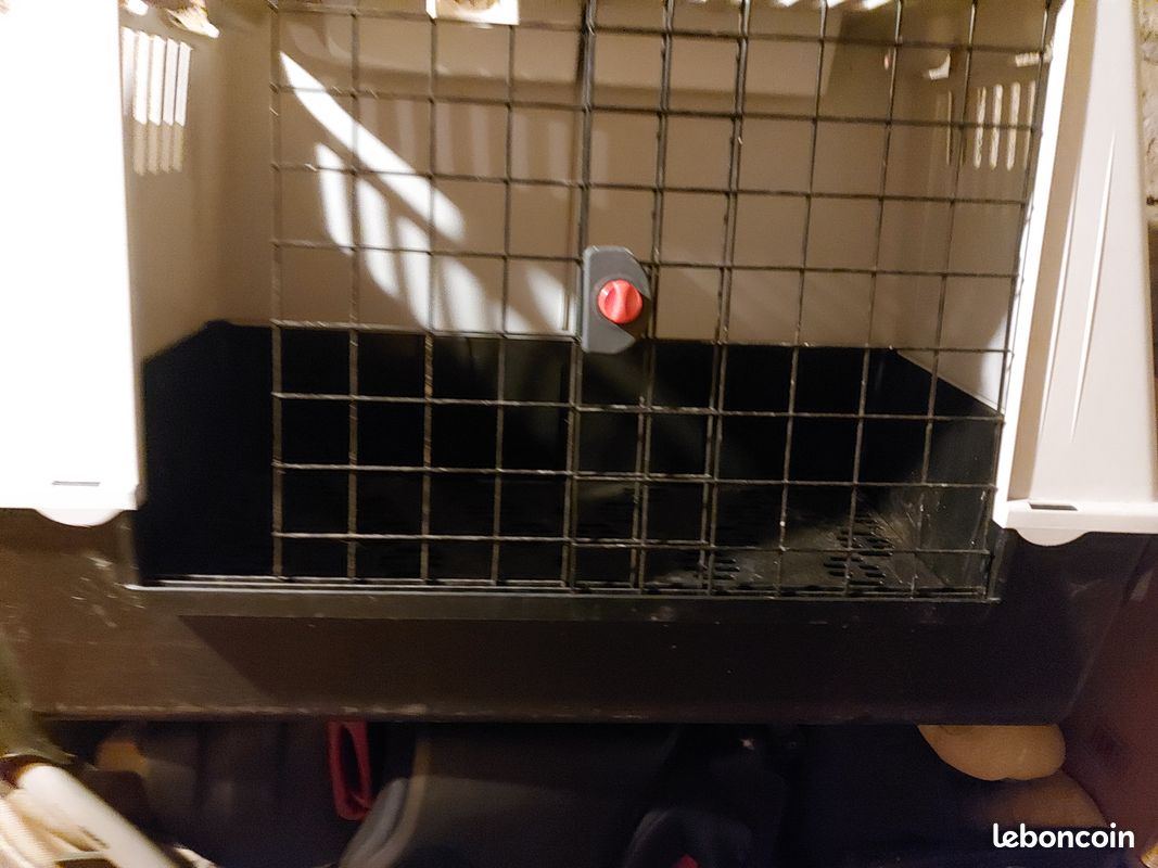 Cage transport pour chien (image 1)