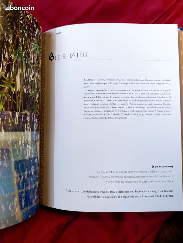 Massages du monde (image 6)