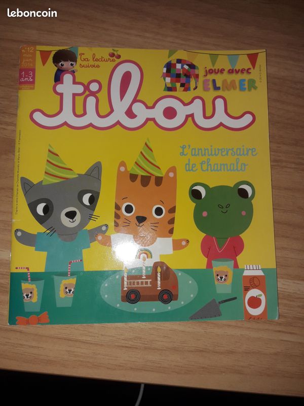 Livre TIBOU parfait etat (image 1)