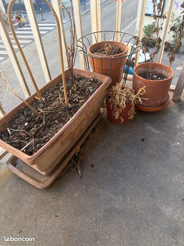 Pot plante terre cuite (image 2)