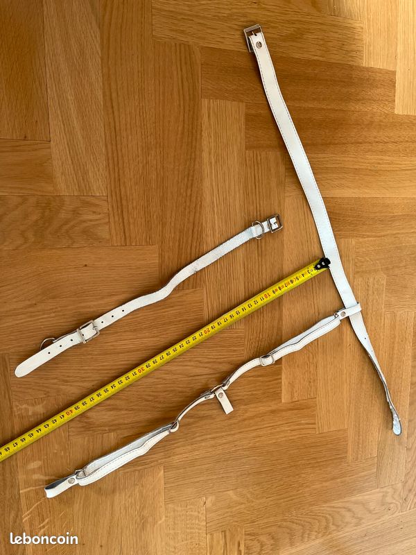 Laisse Ceinture avec Boucle - Bricolage, animaux domestiques (image 4)