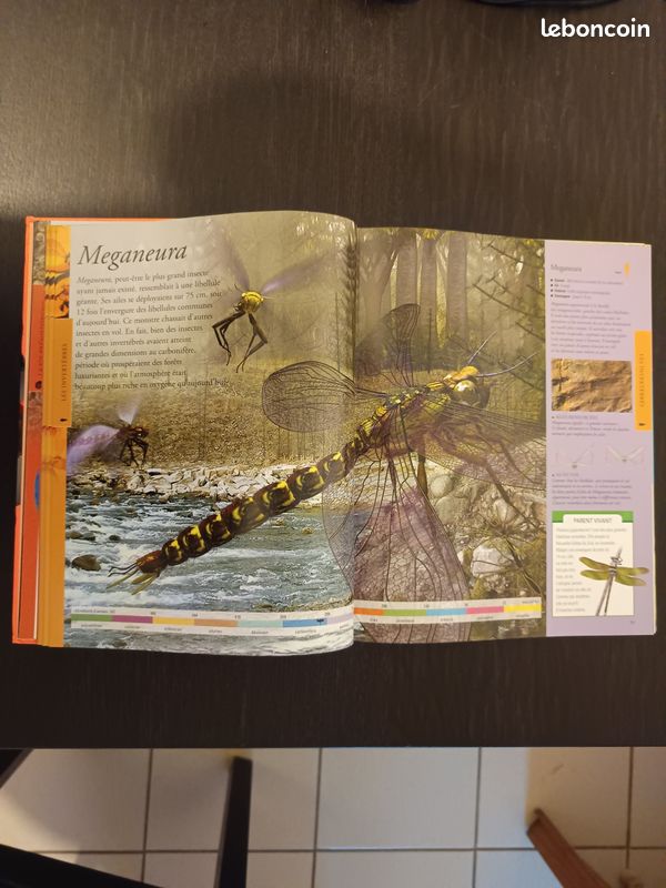 Encyclopédie des dinosaures (image 3)