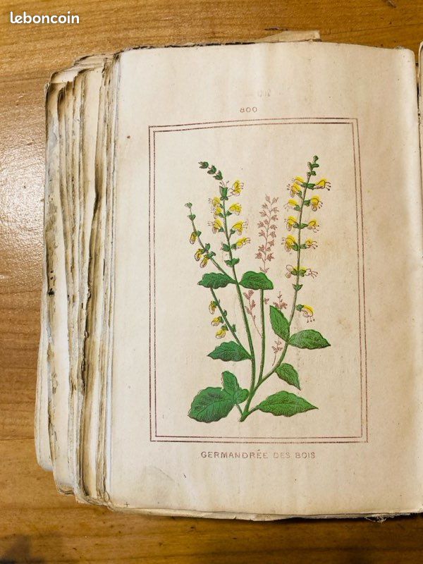 Livre ancien de médecine familiale (image 4)