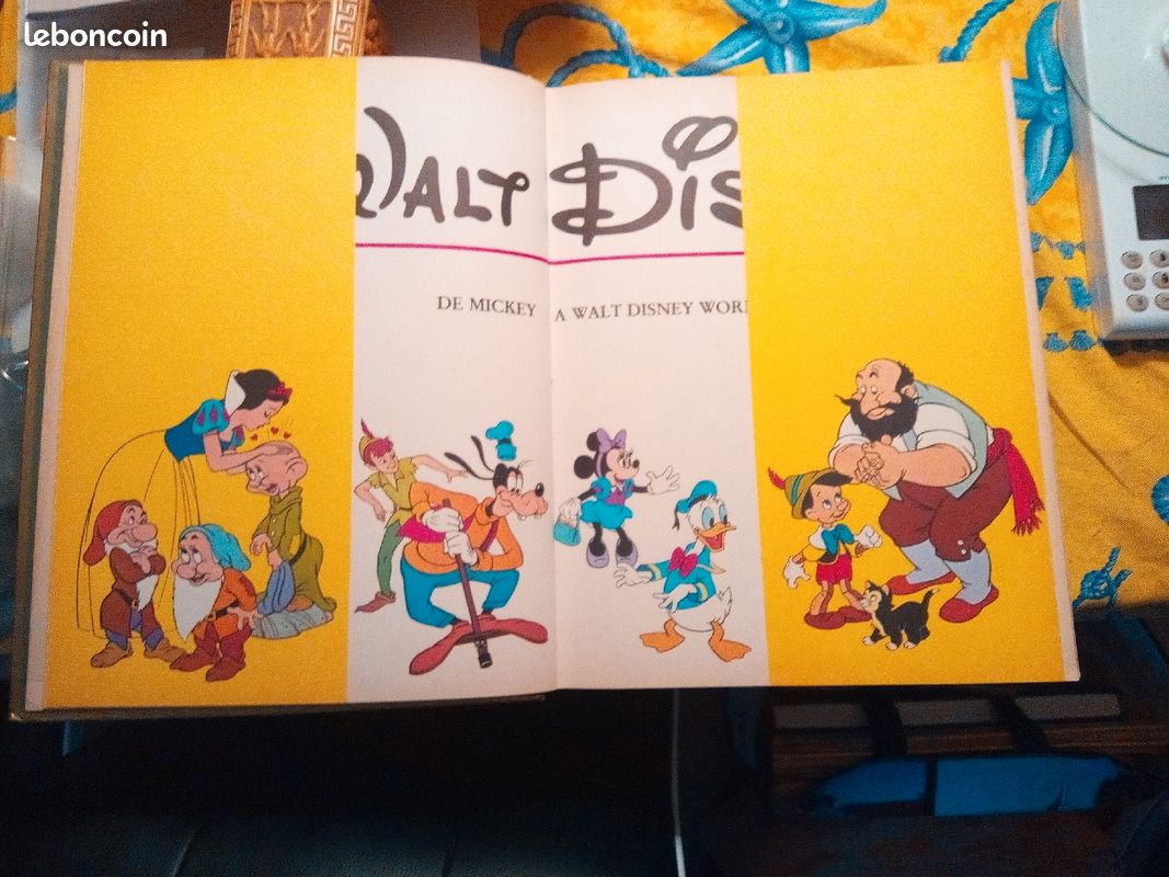 Livre Mickey (image 2)
