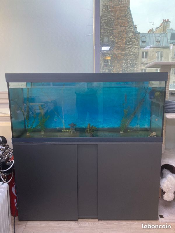 Aquarium (image 2)
