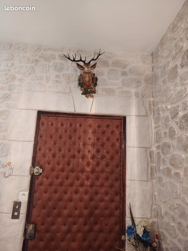 Tête de cerf matière plastique dur (image 1)