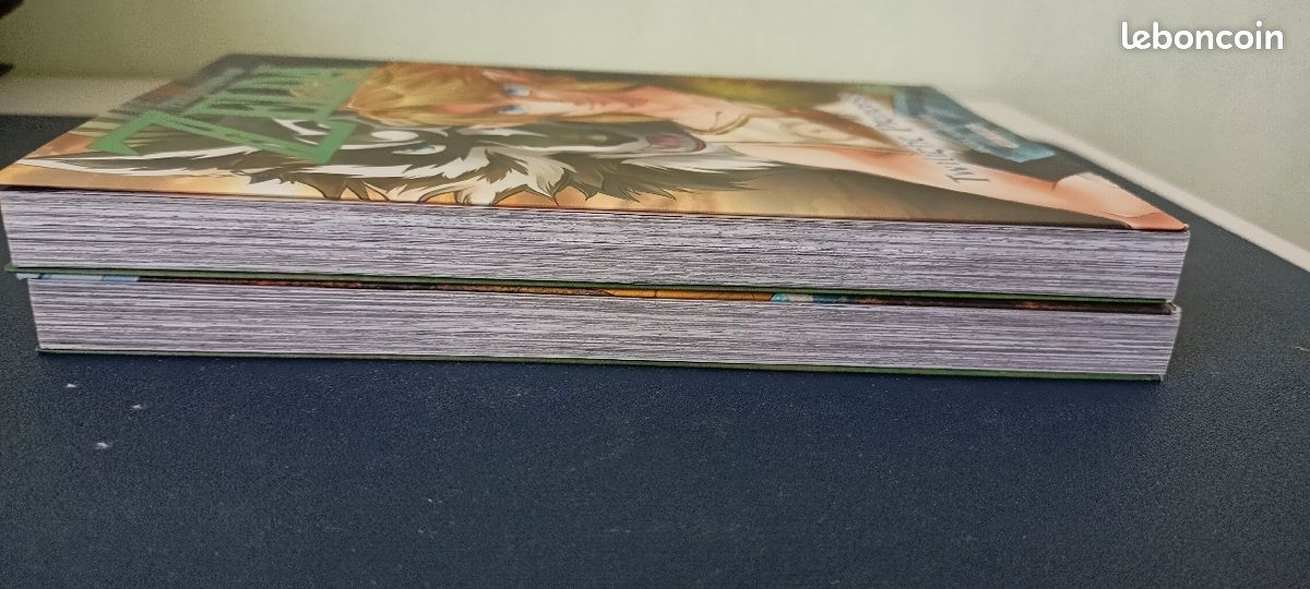Zelda Tome 1 et 2 (image 3)
