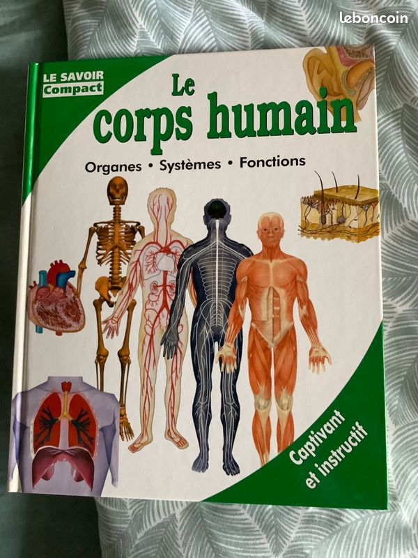 Livres sur les animaux, les dinosaures et le corps humain (image 4)