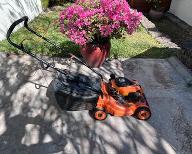 Tondeuse Jardin Plantes