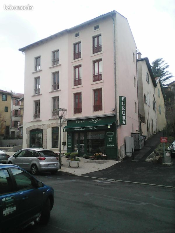 Appartement 2 pièces 30 m² · à Le Puy-en-Velay · 30 m² · 380 €/mois