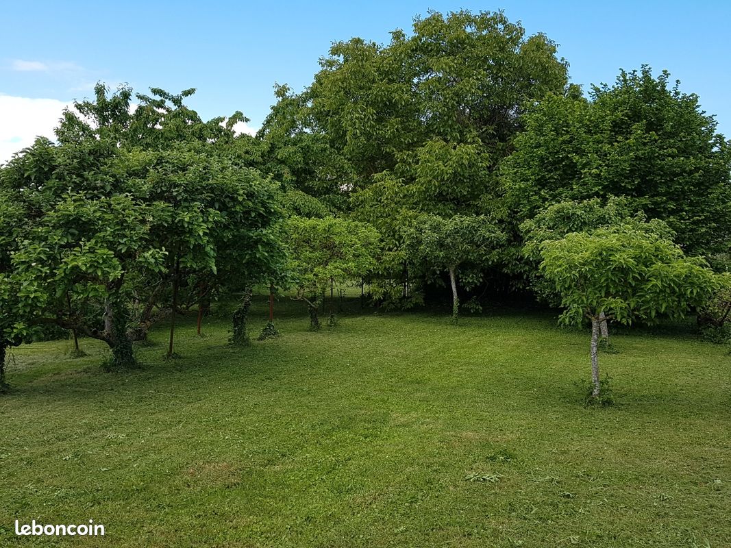 Terrain 1545 m · à Aigueperse · 92 000 €