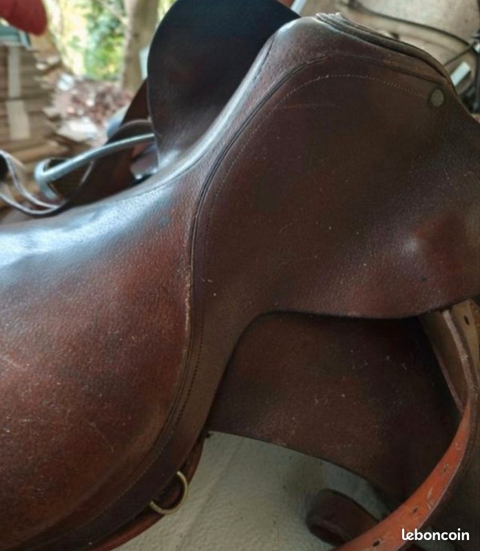 Équipez votre cheval avec une selle en cuir adaptée ! - Arion Sellier