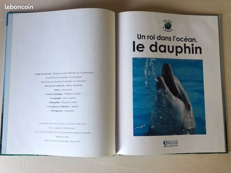Un roi dans l’océan, le dauphin (image 3)