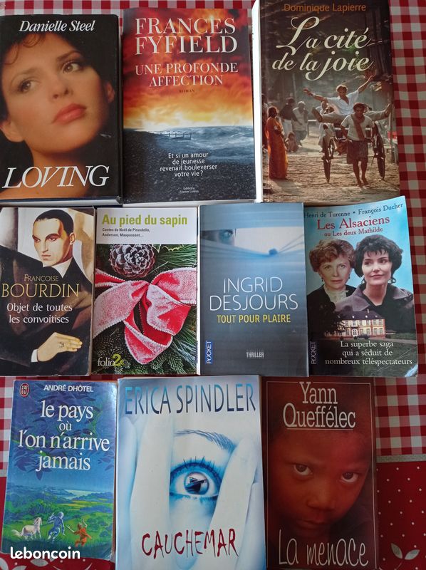 Lot de 10 livres pour 10 euros : Spindler, Bourdin, Desjours, Lapierre, Fyfield, Steel (image 1)