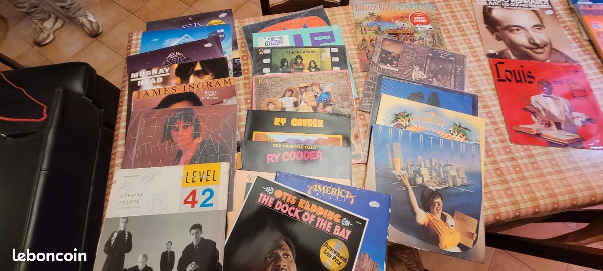 Disques vinyl 33 tours (image 1)