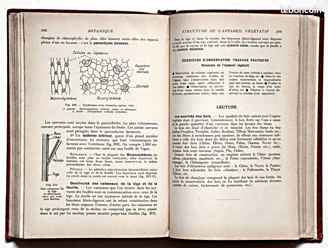 Sciences naturelles, programme 1938 (image 4)