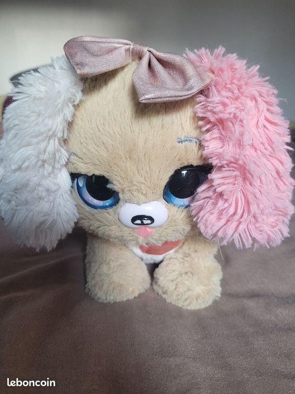 Present pet (image 1)