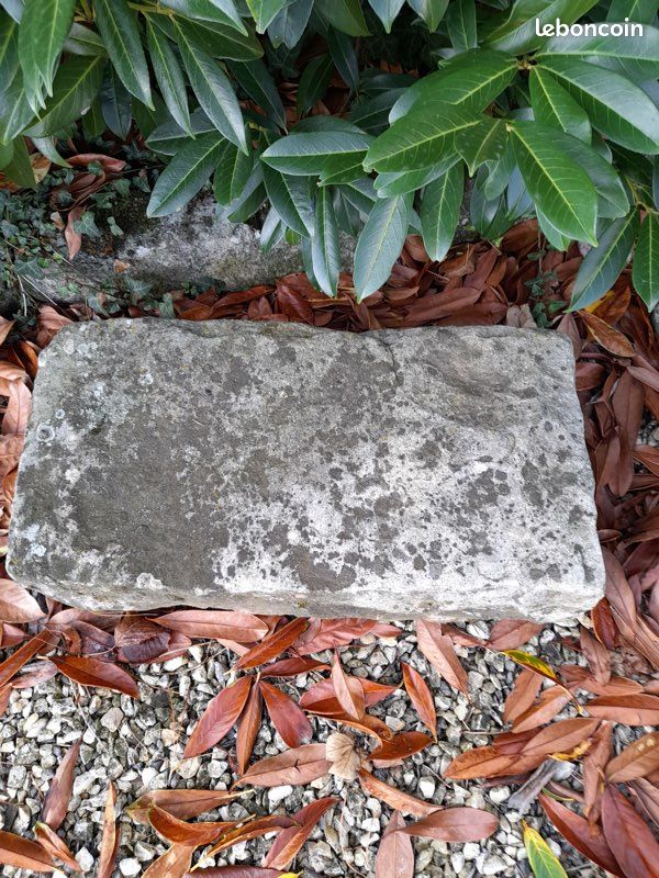 Pierre (image 1)