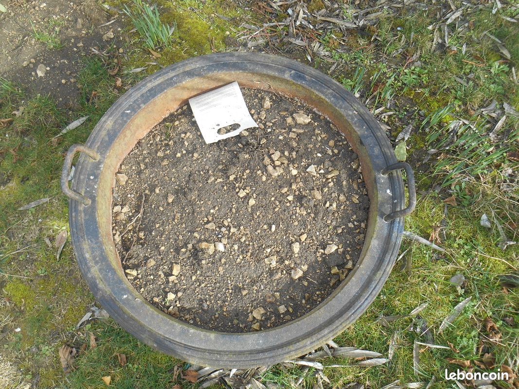 Poillone (image 2)