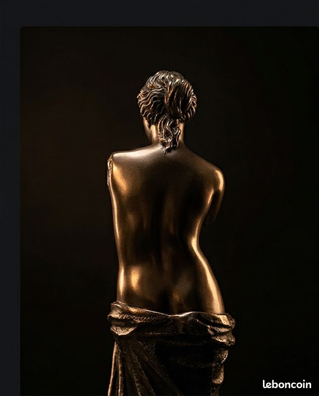 Statue Vénus de Milo 26 cm – Finition bronze – Sculpture décorative classique avec boîte d’origine (image 6)