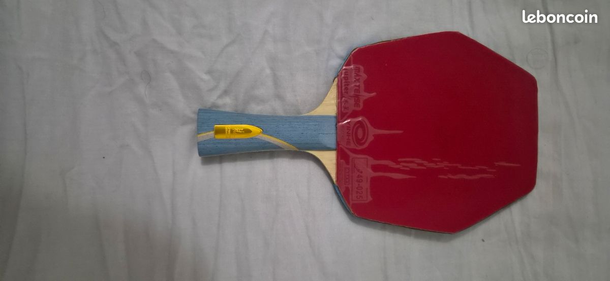 Housse Pour Raquette De Ping-pong, EVA 18×27×5,2cm, Capacité 2 Raquettes, étanche, Dragonne Incluse
