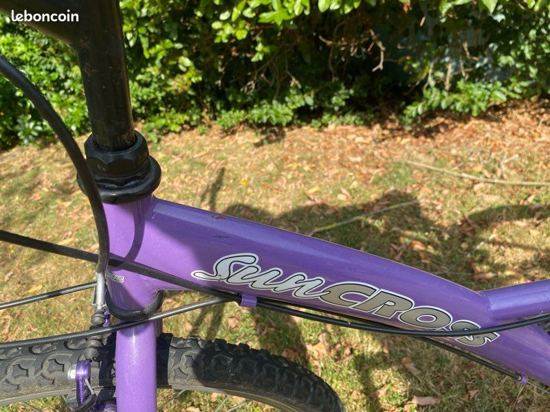 Vélo tout terrain (image 4)