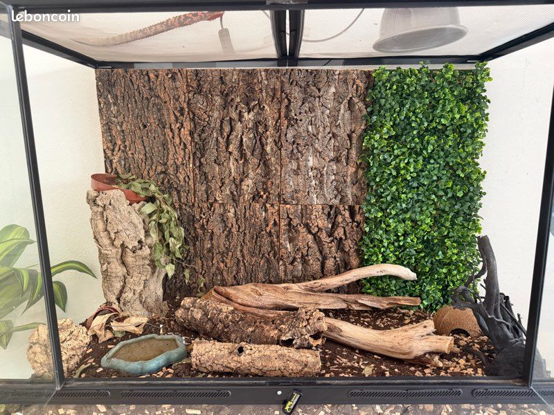 Grand terrarium complet complet (image 3)