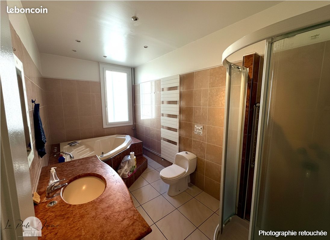 Maison 9 pièces 261 m² (image 9)