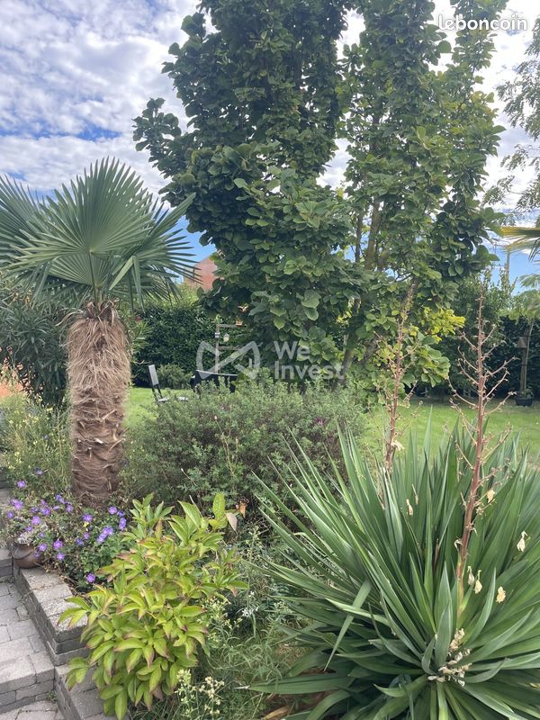 Maison 7 pièces 127 m² · à Houplin-Ancoisne · 127 m² · 560 000 €