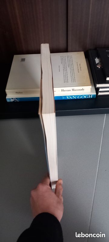 Livre Salvador Dalí (image 3)