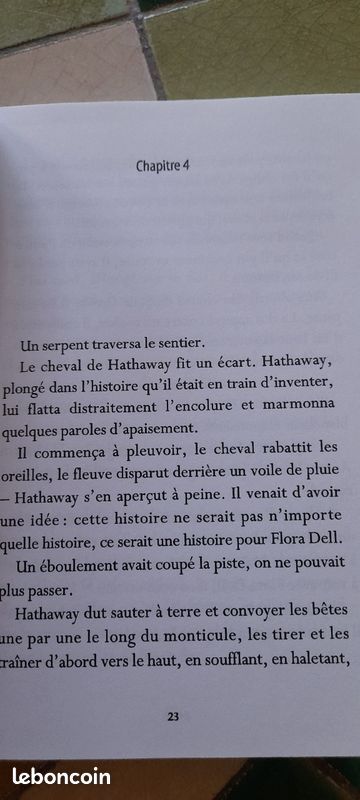 Hathaway Jones une histoire du Far West (image 4)