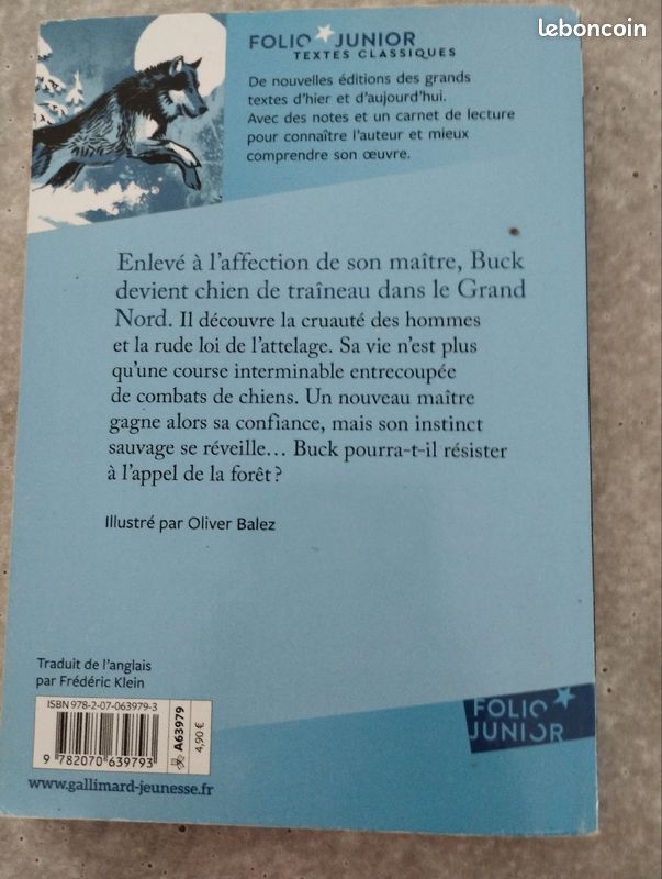 L'appel de la forêt (image 2)