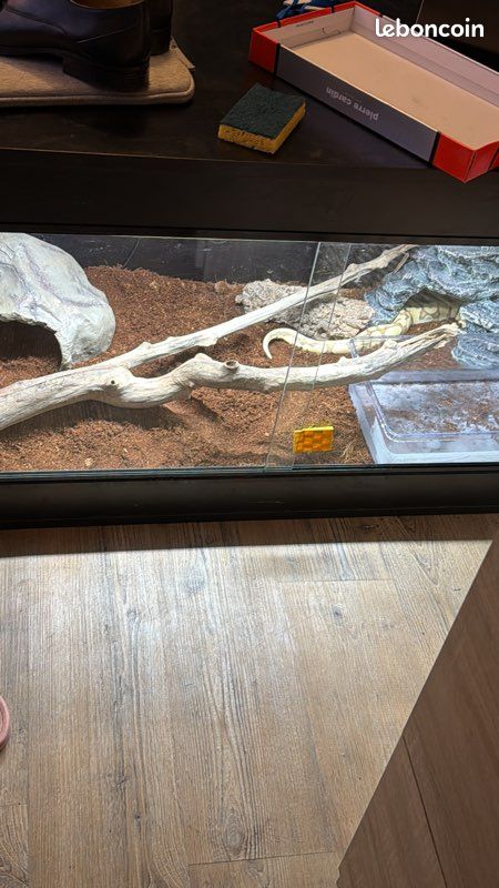 Terrarium (image 1)