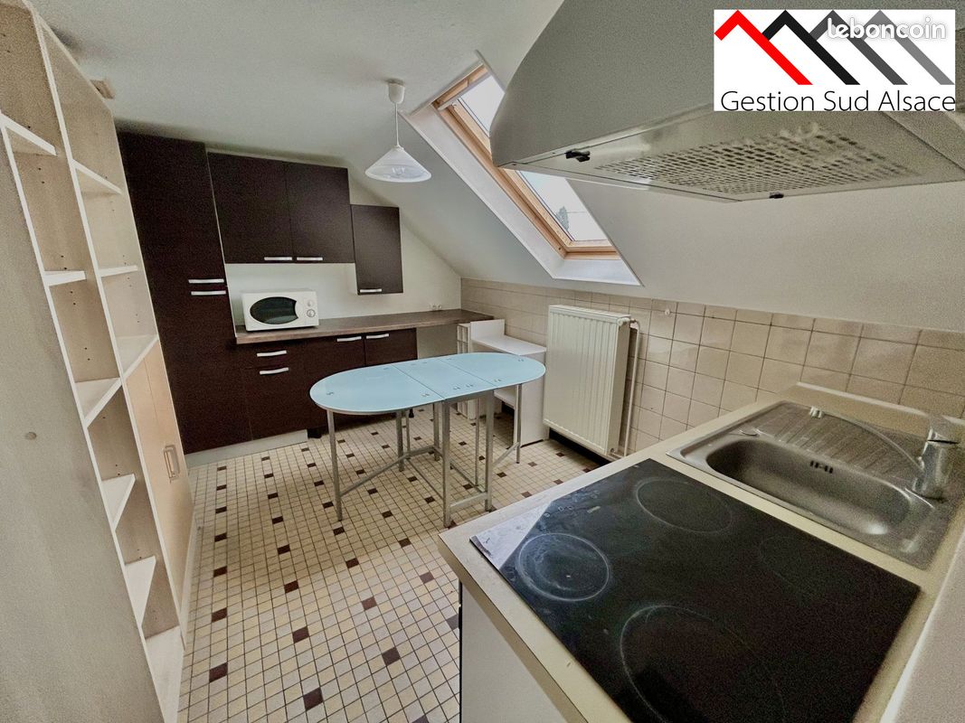 Appartement 1 pièce 36 m² · à Guebwiller · 36 m² · 500 €