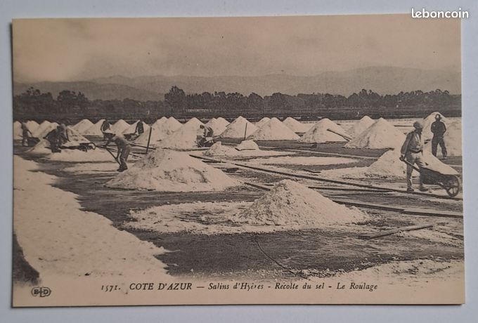 Carte Postale Ancienne - Les Salins D'Hyères - Récolte Du Sel (battage) - Années 1900