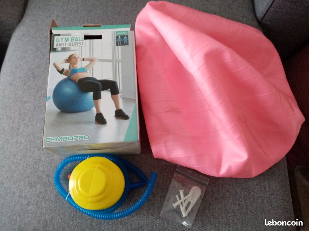 Ballon de gym (image 1)
