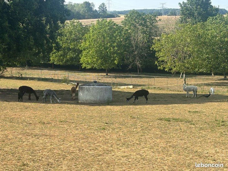 Terrain constructible, eau, électricité, fibre du bon côté · à Saulces-Monclin · 25 000 €