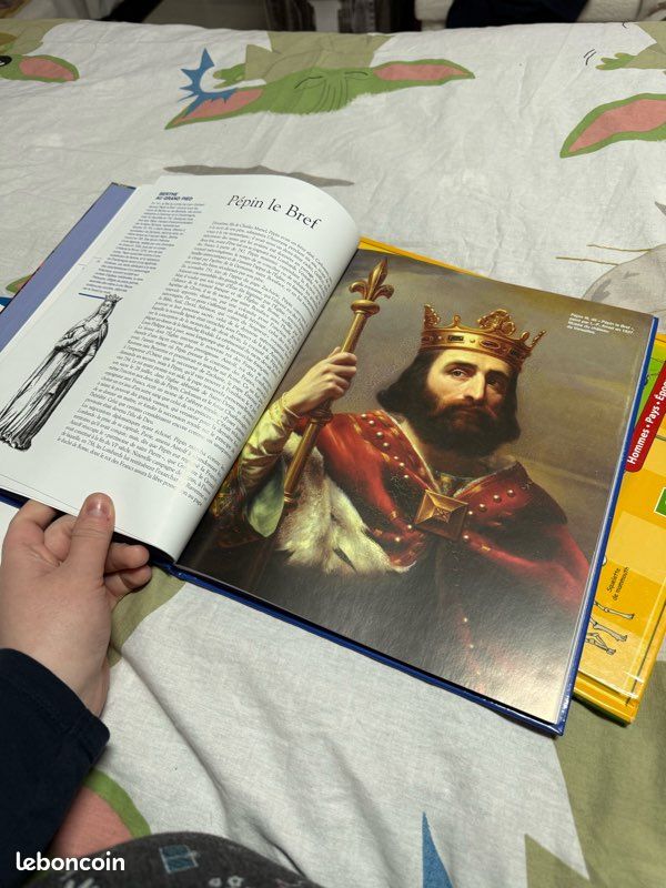 Lot livres divers (image 11)