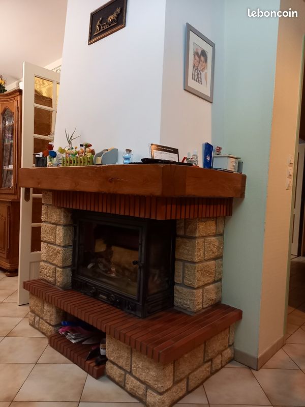 Insert à bois bon état (image 2)