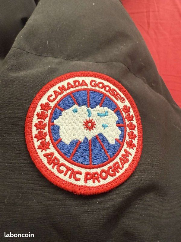 Canada Goose (image 10)