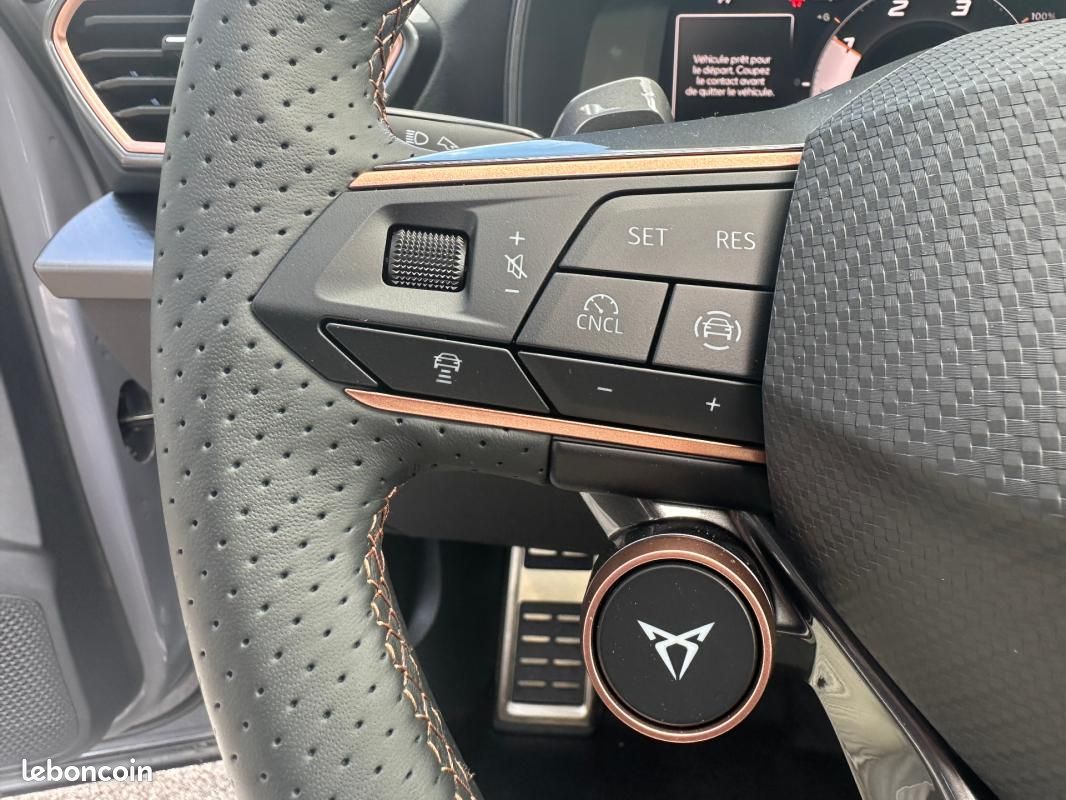 Cupra Formentor 2.0 TDI 150 ch DSG7 V (image 16)