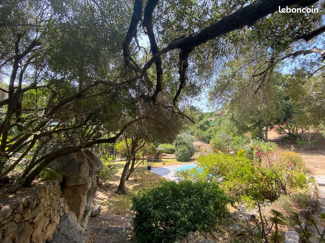 Magnifique terrain - Calvi · 600 000 €